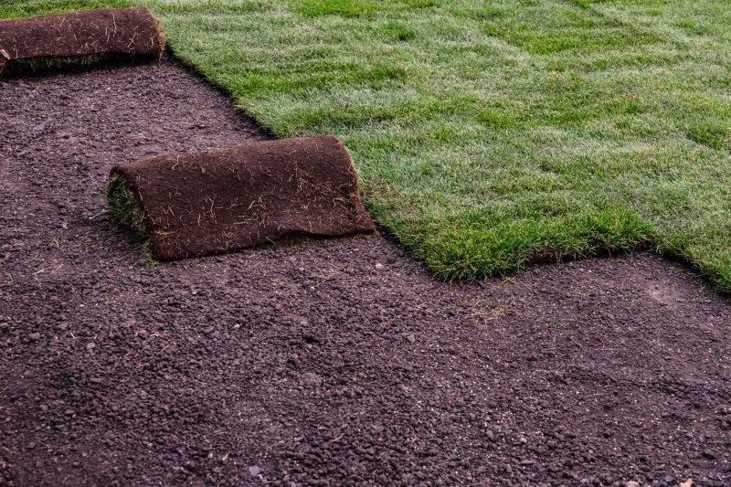 Sod Installation Service