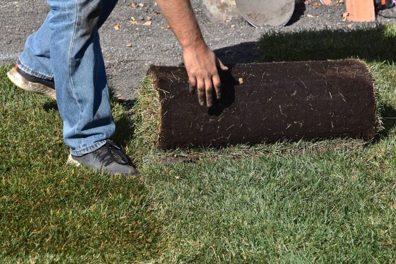 Grass Replacement in Rockwall, TX