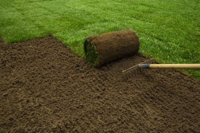 Ryegrass Sod Installation in Honolulu, HI