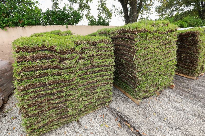 Sod Delivery Services for Your Landscaping Needs