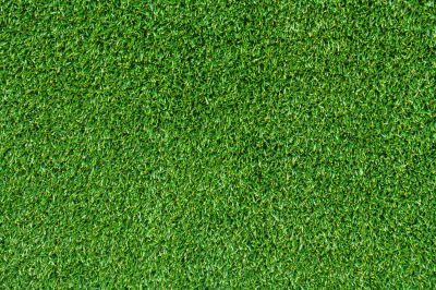 Commercial Sod Installation in Honolulu, HI