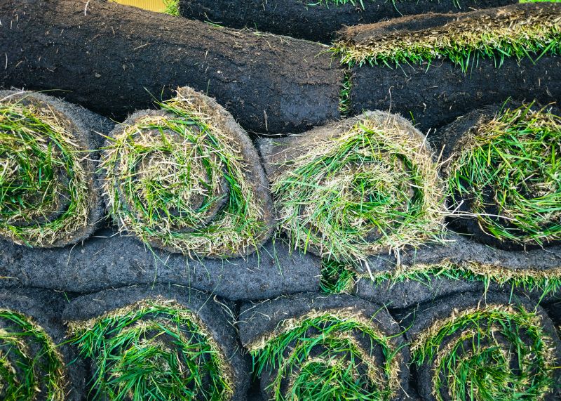Commercial Sod Installation in Aiken, SC