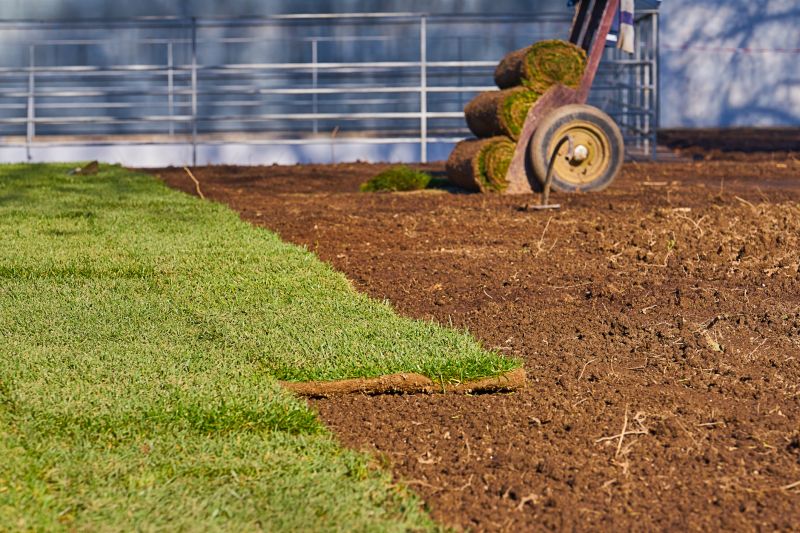 Fescue Sod Installation in Rockwall, TX