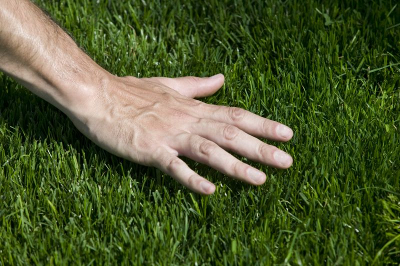 Lawn Installation in Honolulu, HI