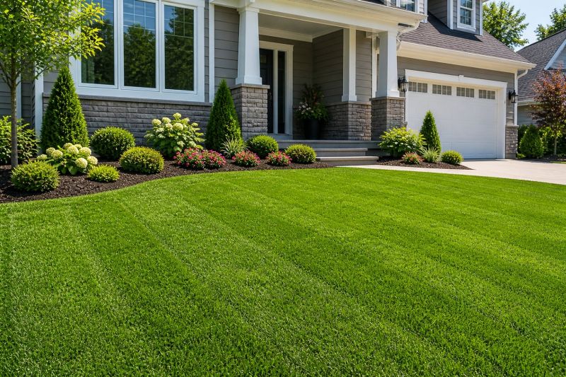 Lawn Sodding in Ventura County, CA