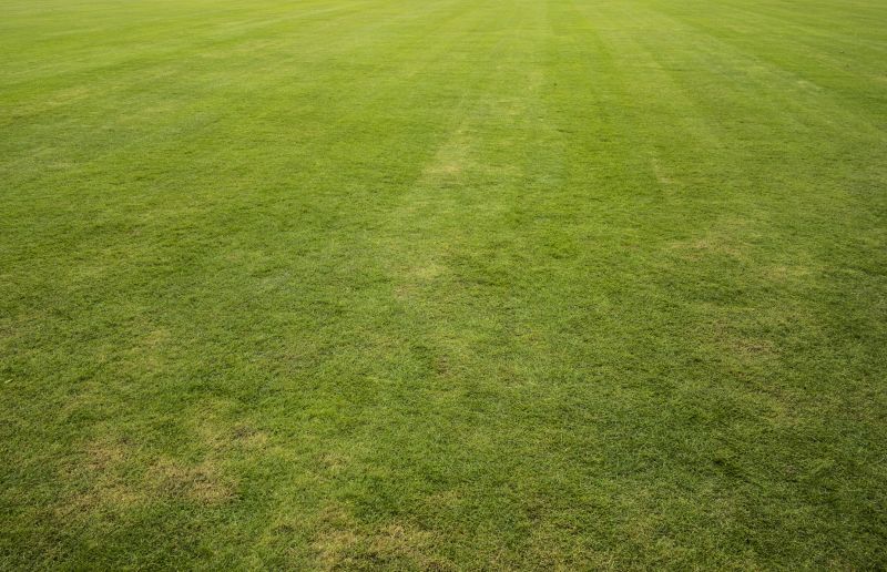 Lawn Sodding in Ventura County, CA