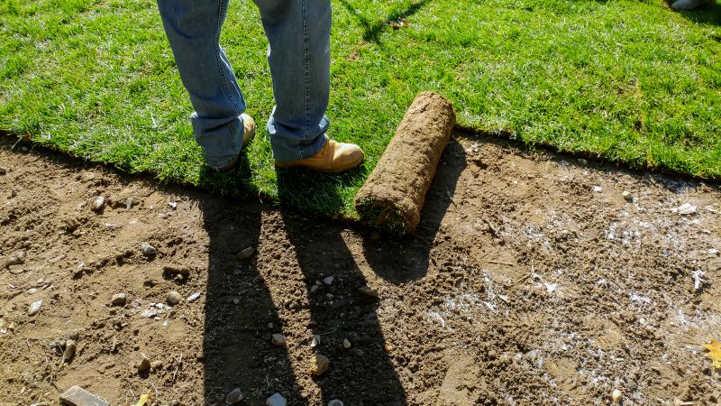 Lawn Installation Process