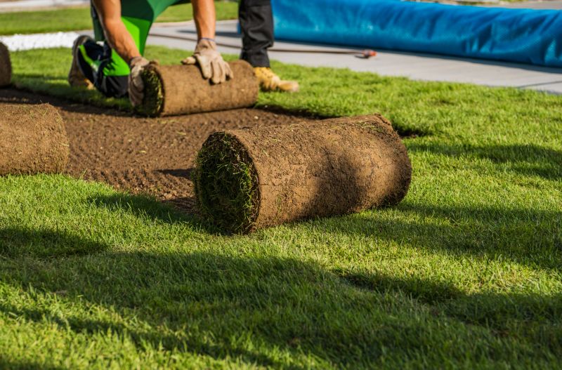 Summer Sod Delivery