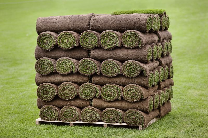 Sod Delivery