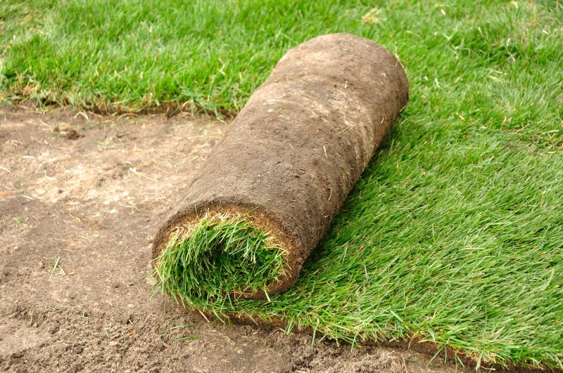 Close-up of fresh sod rolls
