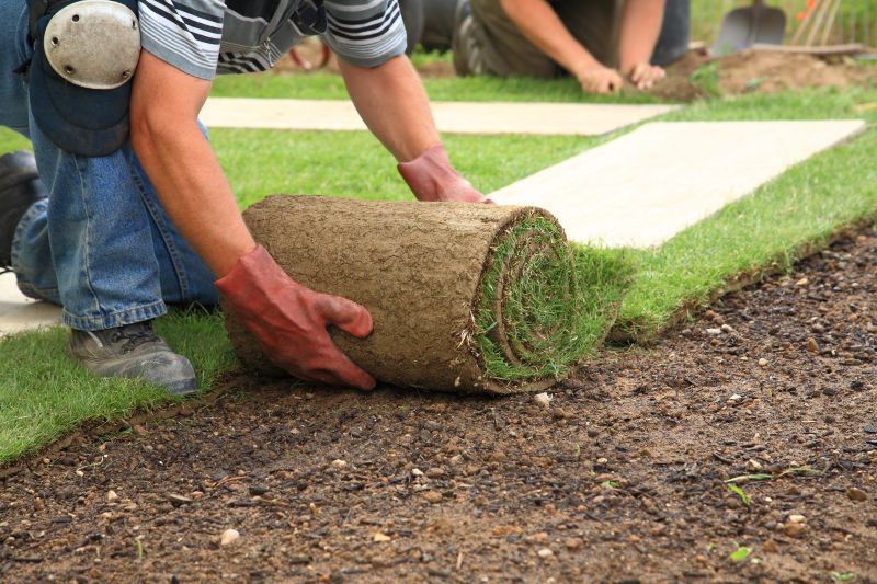 Sod being rolled out in a large yard