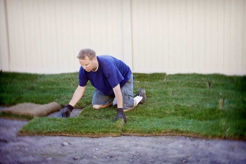 Sod Installation in Honolulu, HI