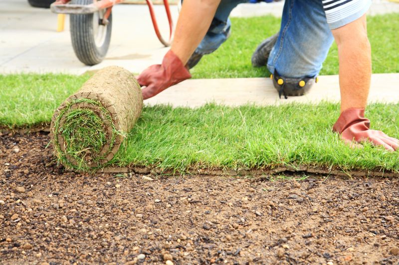 Sod Laying Service in Ventura County, CA