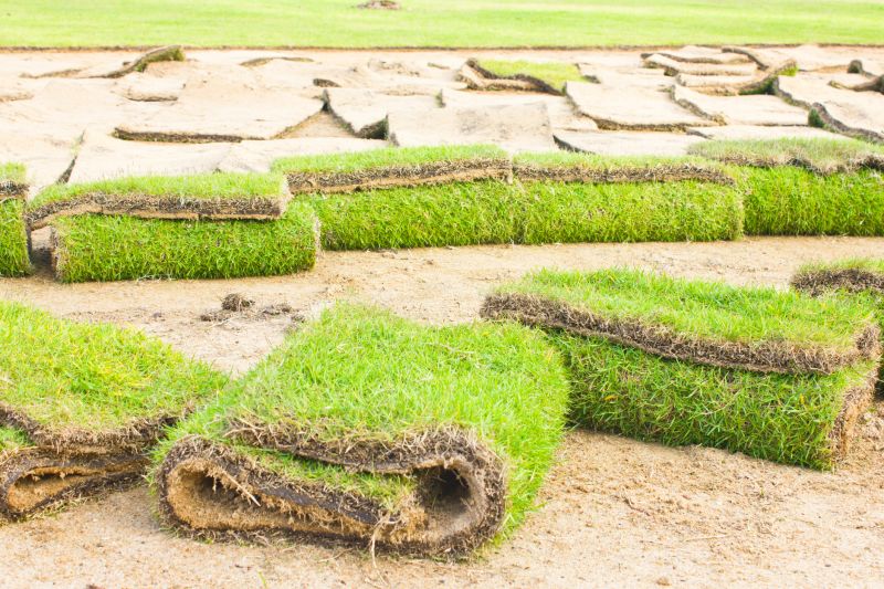 Sod Replacement in Rockwall, TX