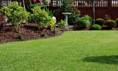 Zoysia Grass Installation in Aiken, SC