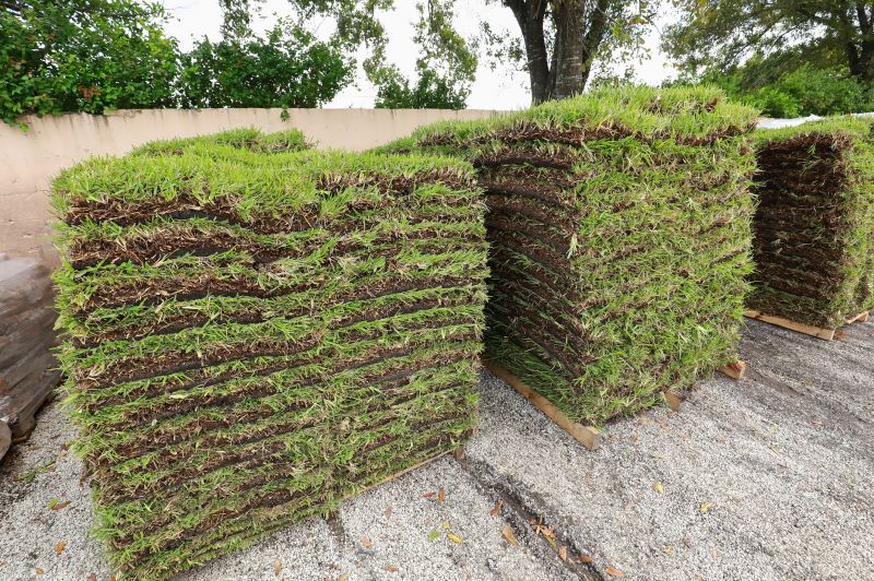 Instant Lawn Transformation