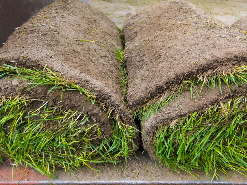 Erosion Control